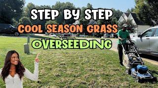 Best Way to Overseed Your Lawn: Elevate Your Grass to Professional Standards