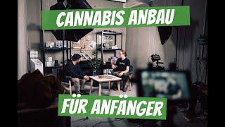 Cannabis Anbau für Anfänger| Vom Samen bis zur Ernte |  Tipps und Tricks von den Profis |