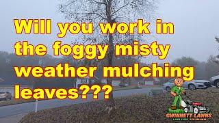 Will you work in the foggy misty weather mulching leaves???