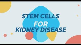 Stem Cell Therapy For Kidney Disease