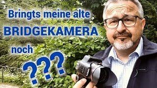 Bringts meine alte Bridgekamera noch? Macht es überhaupt Sinn mit alten Kameras zu fotografieren?