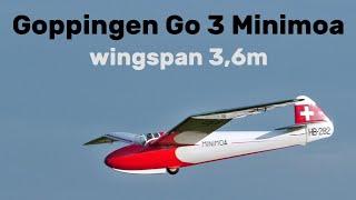 Goppingen Go 3 Minimoa | 3,6m scale RC glider | 4K | Jirice 2024