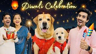 Diwali Celebration With Family | Leo Or Reo Ne Fode Patake | Anant Rastogi