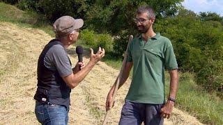 VAL DI GRESTA: IL RITORNO DELLE CEREALICOLTURA