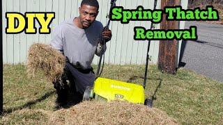 How To Dethatch A Lawn| Spring Lawn Dethatching