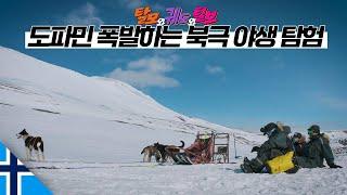 개썰매 타고 떠나는 북극 얼음세상 어드벤처 【북극3】