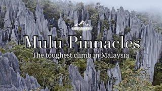 【4K】Climbing Gunung Api | Mulu Pinnacles | Gunung Mulu National Park #fantasyadventure #mulu #borneo