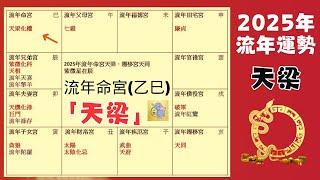 2025 蛇年運勢｜乙巳年｜天梁｜流年運勢- 整體運勢、事業運、財運、工作、健康詳細解析