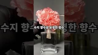 수지 향수로 유명한 향수 