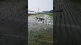 중기제초제 원액살포
