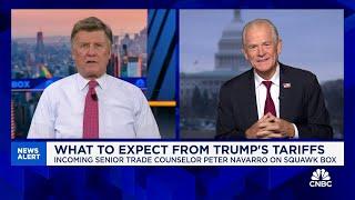 Peter Navarro: You'll see over $1 trillion of investments from Trump's tariff & trade policies