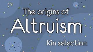 The Origins of Altruism. Kin selection.