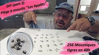 250 moustiques en 48h ! part 2 DIY Mon Piège à Moustiques, économique, efficace, et naturel.