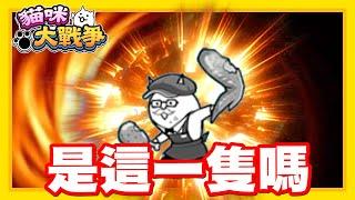 《哲平》手機遊戲 貓咪大戰爭 - 上次取得進化條件的貓貓!! | 是這隻嗎w?