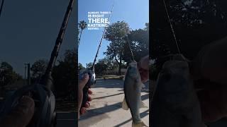 SoCal Bass Fishing #kastkingkestrel #kestrelfinesse #kestrelbfs #kestrelultralight #shors #fishing