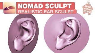 Nomad Sculpt: Ears Sculpt Step by Step