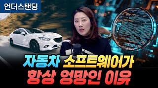 자동차 소프트웨어가 항상 엉망인 이유 (해담경제연구소 어예진 소장)