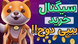 سیگنال خرید بیبی دوج کوین!!