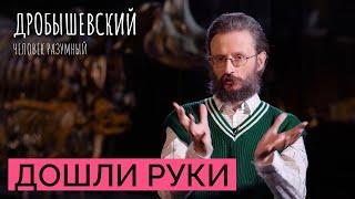 Как орудия труда эволюционировали вместе с человеком? // Дробышевский. Человек разумный