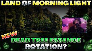 Life Of A Shai #61: Moss Trees On The Land Of The Morning Light!?! - Black Desert Online