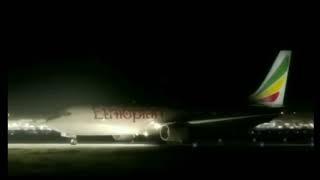 Ethiopian Airlines Flight 402 - Crash Animation