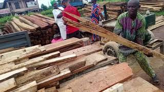 How we load our planks | Inside sawmill, Ogun State