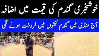 Today Wheat Price in punjab | gundam Rate | Usman Agriculture