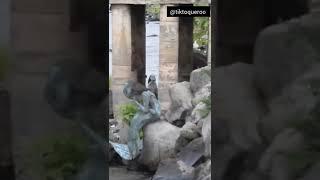 regardez le vrai sirène au fleuve Congo sur le pont ledya