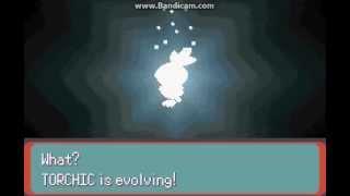 POKEMON EMRALD GBA :Torchic evolution