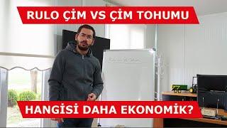 Rulo Çim Uygulamak Mı? Çim Tohumu Ekmek Mi? Bahçemizde Hangisini Yapmalıyız?