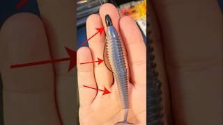 Learn to Texas Rig Swimbaits