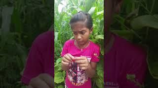 manvitha videos