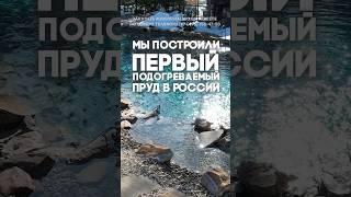 Мы построили первый подогреваемый пруд в России