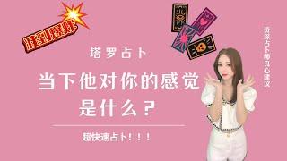 【Ivy塔罗】【大众占卜】当下他对你的感觉是什么？在你看视频的同时他对你的想法？