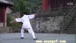 WUDANG Daoist Five ( 5 ) Elements QIGONG by Li YuanFei .... Part 2 ( Wood ) .