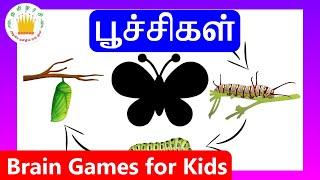 பூச்சிகளின் பெயர்கள் |Learn Tamil Bugs and Insects Name for Kids|Tamilarasi