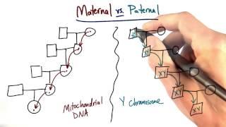 Maternal vs Paternal Lines - Tales from the Genome