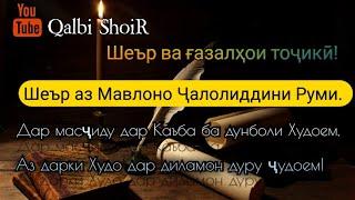 Ҳамсояи мо гушнаю, мо сер бихобеб/Бениҳоят гуфтаҳои бамазмун/Мавлоно Ҷалолиддини Руми/Шеър ва газал/