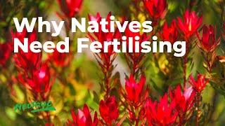 Neutrog TV | Why Natives Need Fertilising + Bush Tucker