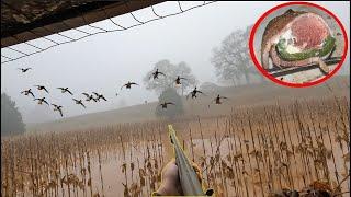 MALLARDS Dump Into FLOODED CORN field | CATCH & COOK | Duck hunting 2024 | (limited out)