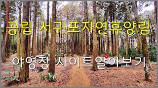 공립 서귀포자연휴양림 야영장 사이트 알아보기(제주도)