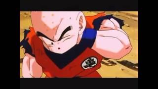 Gay Moments in DragonballZ  -Parody-