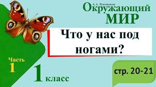 Что у нас под ногами? Окружающий мир. 1 класс, 1 часть. Учебник А. Плешаков стр. 20-21