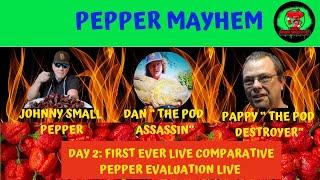 PEPPER MAYHEM: DAY 2 - A FIRST EVER LIVE COMPARATIVE SUPERHOT PEPPER EVAL WITH TWO SPECIAL GUESTS