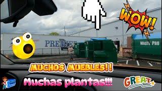 Increibleeeee!!!! Uno de los mejores hallazgos del canal!!! Demasiados muebles, plantas y mas cosas!