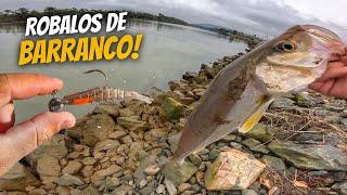 Nesses PONTOS de PESCA  você sempre FISGA BONS ROBALOS! Pescaria de ROBALO no Barranco