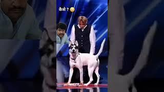 amazing trick magic change person into dog worlds talent magic show #magic #shorts