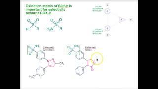 05 COX-2 Inhibitor Framework