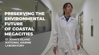 Preserving the Environmental Future of Coastal Megacities | NUS | Oceans of Opportunity