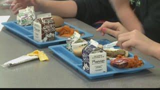 Lexington School District One is providing free meals this summer